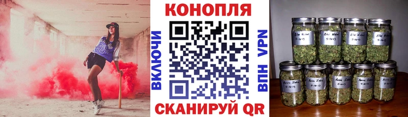 Купить где  Лангепас  Шишки марихуана OG Kush 